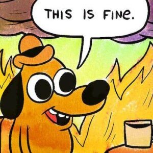 A Sentry System to Protect Communities 2 anthrohio on fire this is fine 1